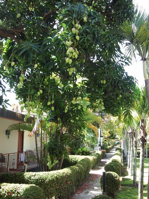 El Colibri Hotel Sosúa Eksteriør billede